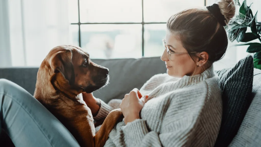 Woman on couch with her dog, looking into each other's eyes she has one hand on her pups' face and the other holding her pups' paw over her chest. There is a lush green plant behind her, and a window with bright light beaming in. New pet-friendly apartment homes for rent with private fenced backyards in Arizona, Texas, Florida, and North Carolina with pool, pickleball, dog park, gym, clubhouse and gated community. *No breed or weight restrictions. Yardly
